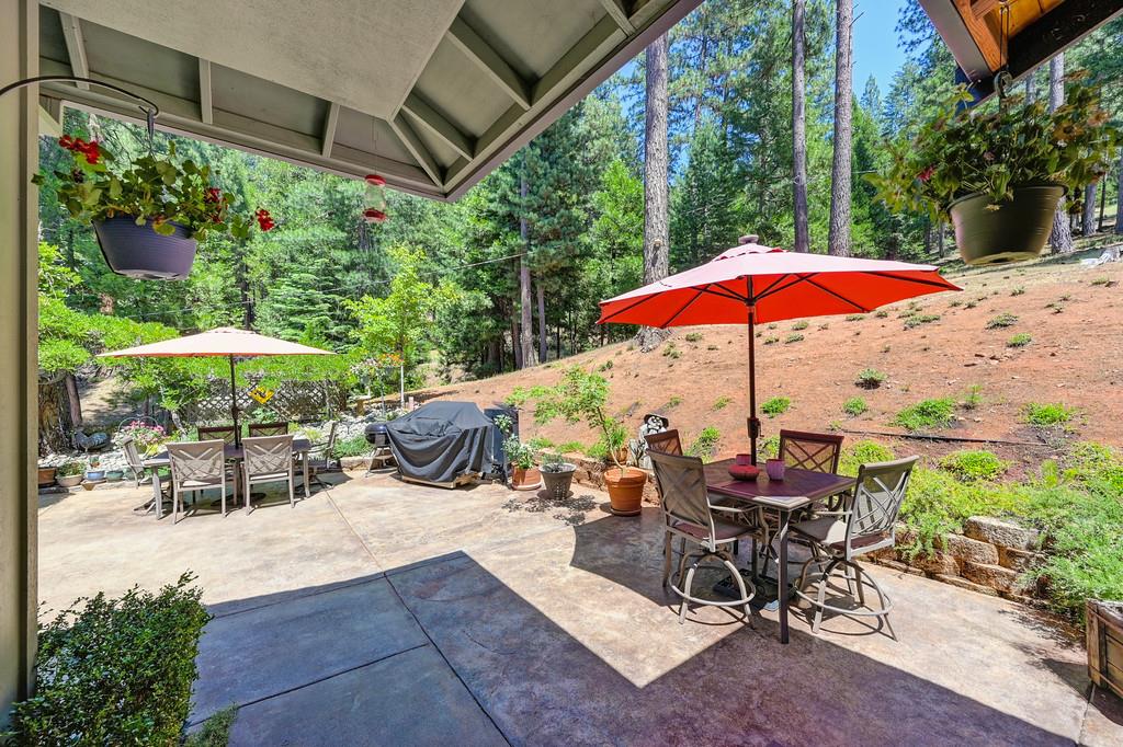 9580 Grizzly Flat Road