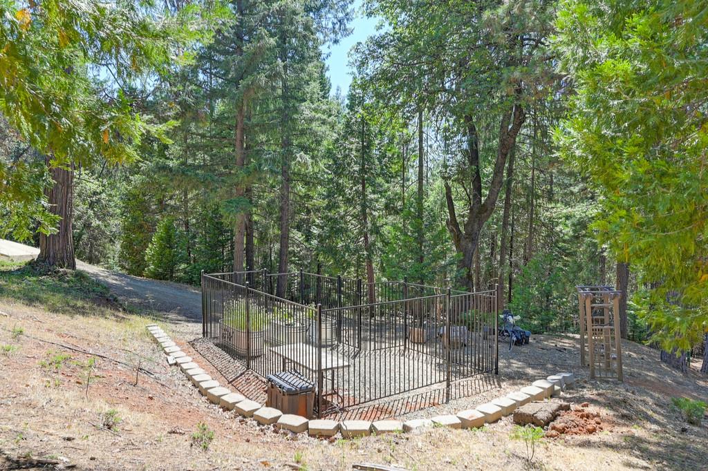 9600 Grizzly Flat Road