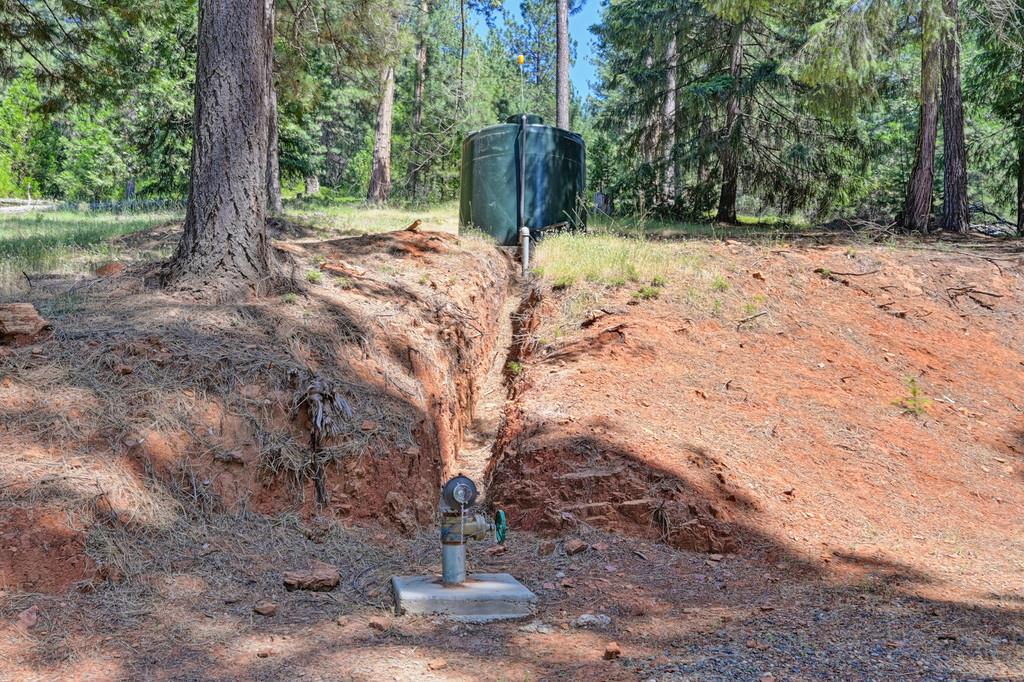 9600 Grizzly Flat Road