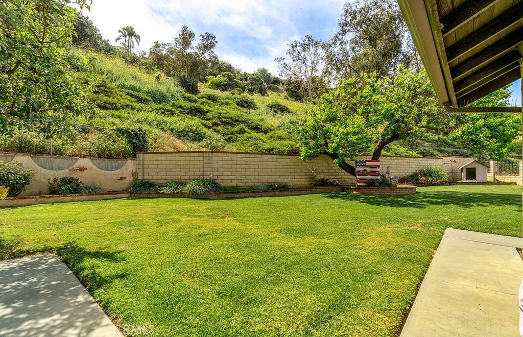 11012 Canyon Meadows