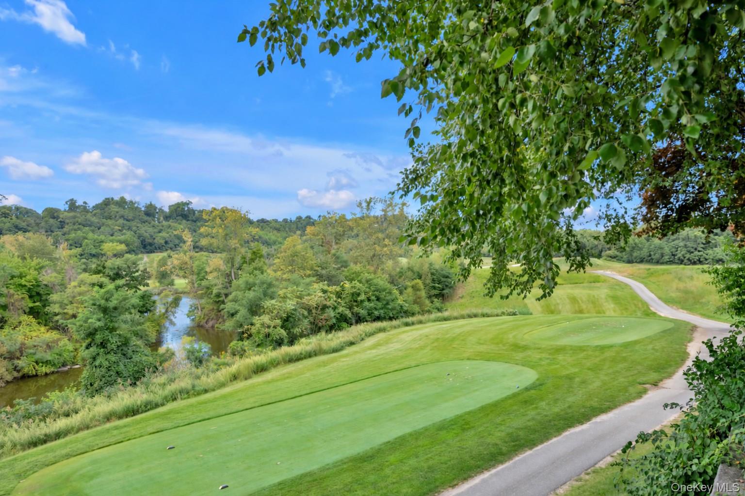 95 W Overlook