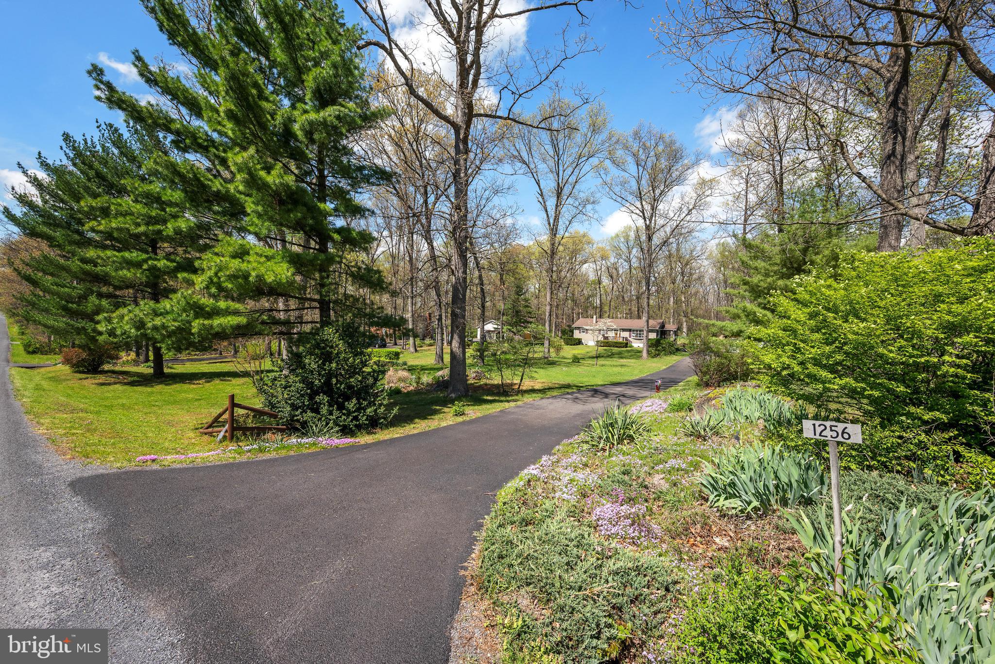 1256 RUSSELL ROAD