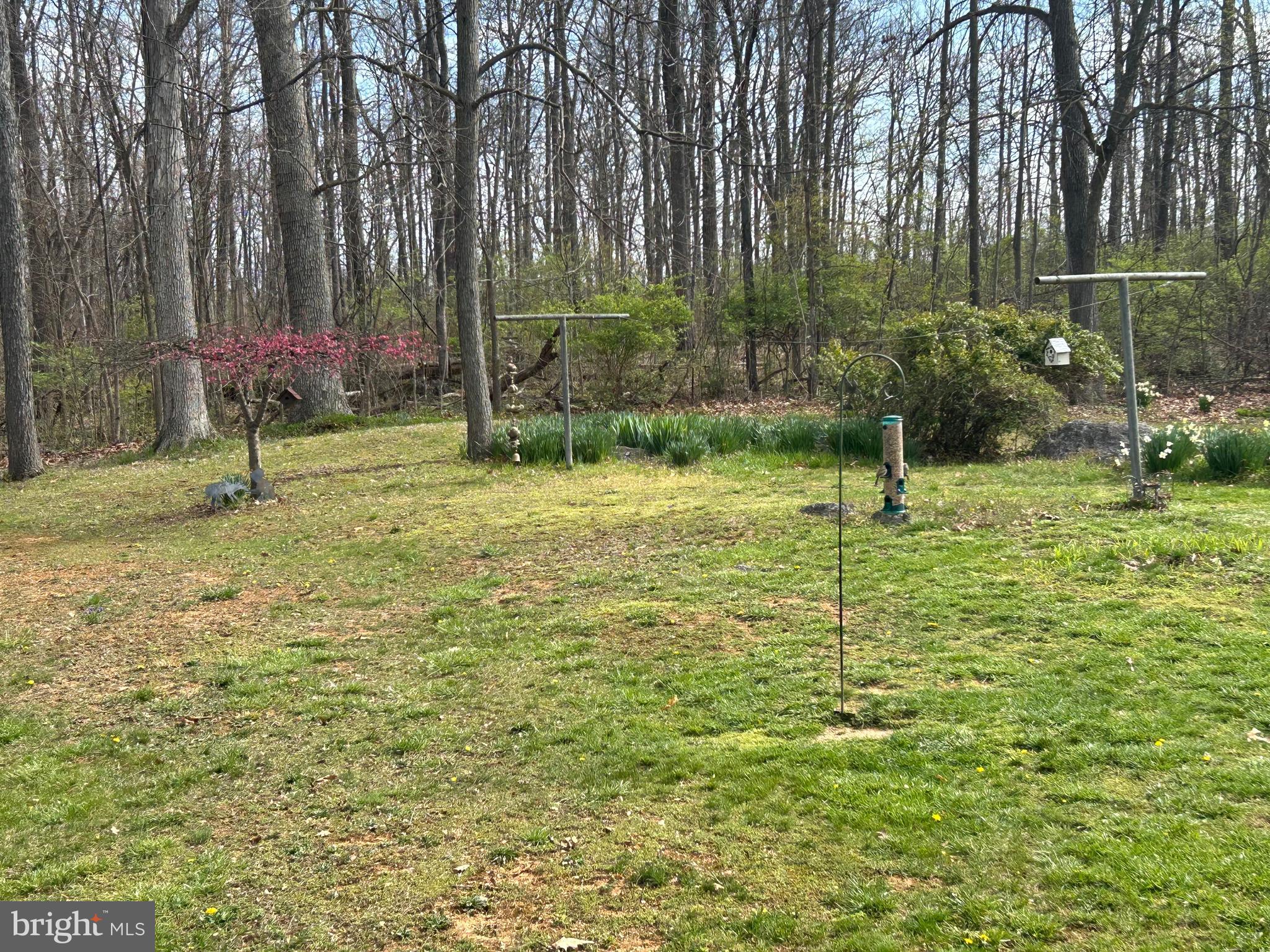 1256 RUSSELL ROAD