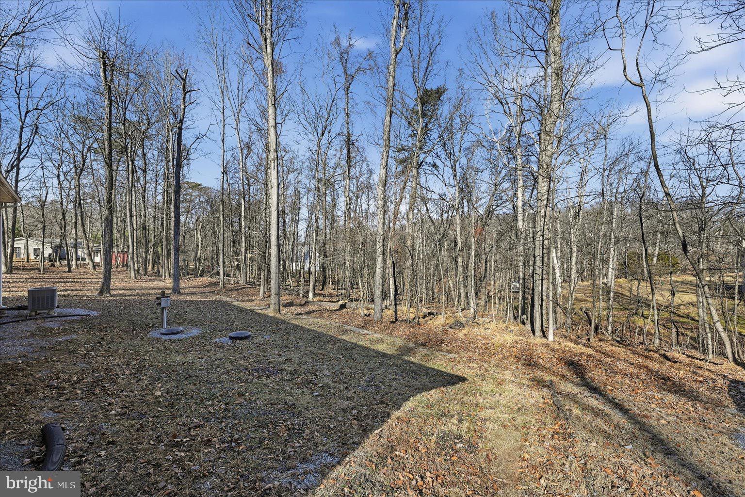 558 HEMLOCK LANE