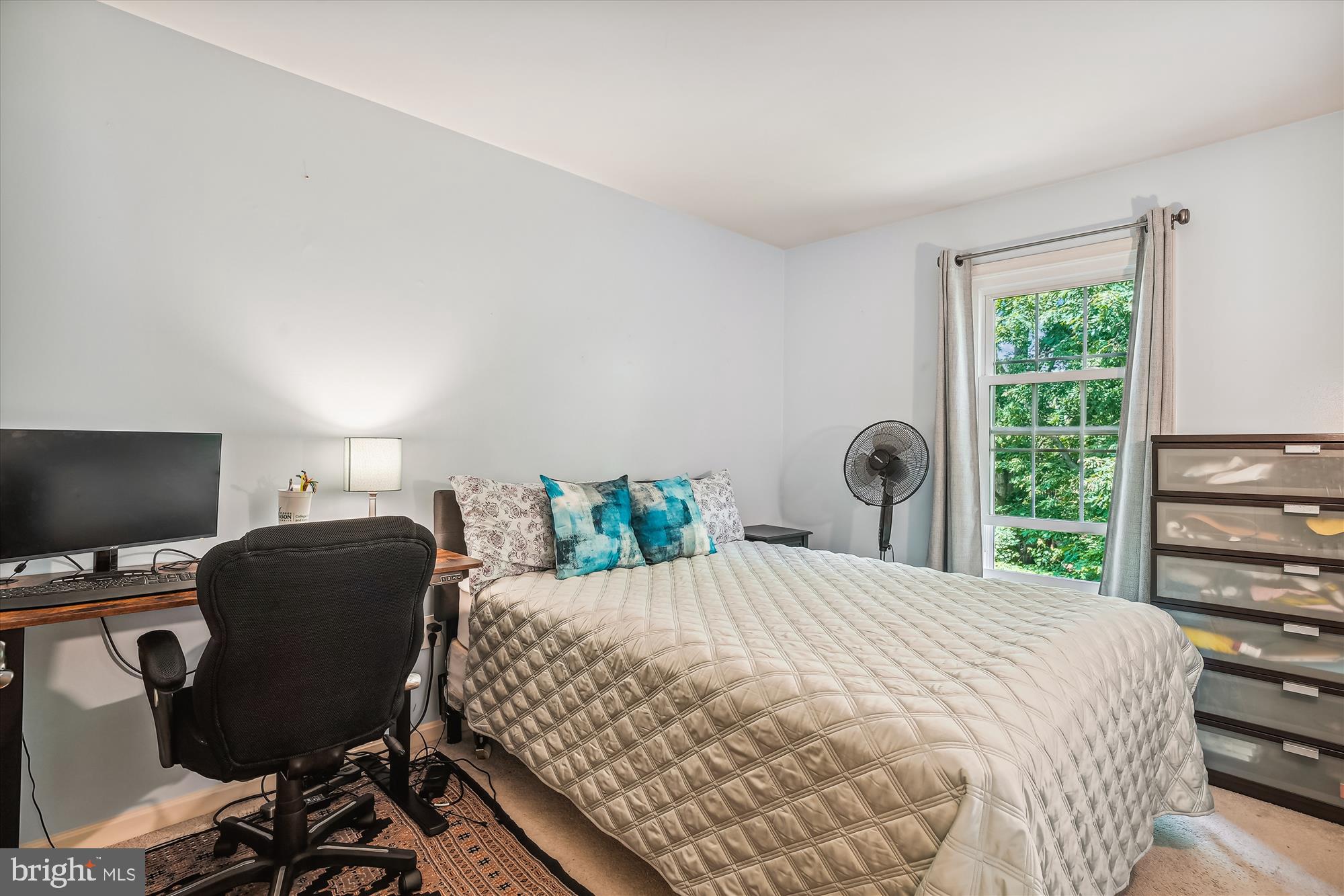 7037 ASHLEIGH MANOR COURT