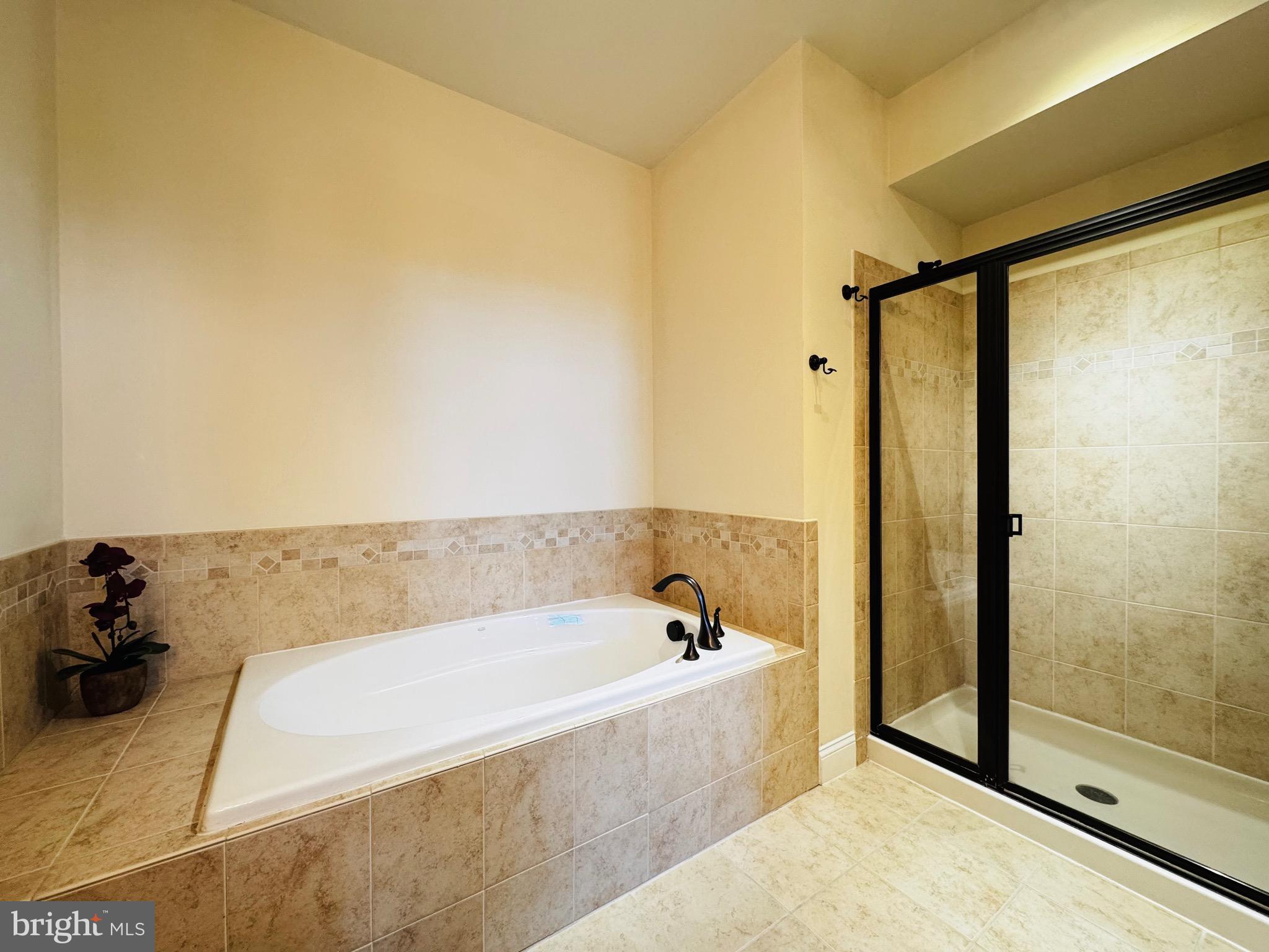 42562 WILDLY TERRACE