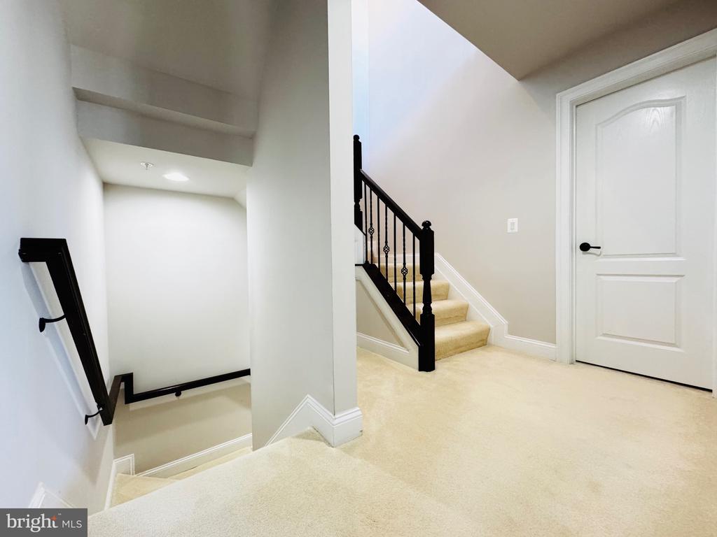 42562 WILDLY TERRACE