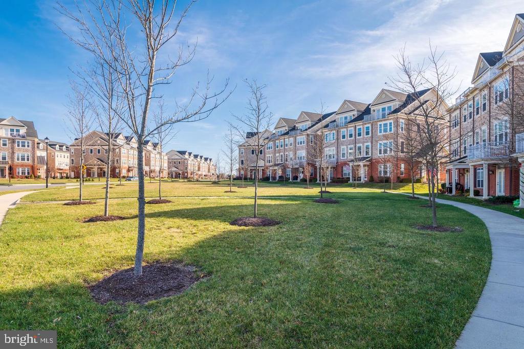 42562 WILDLY TERRACE