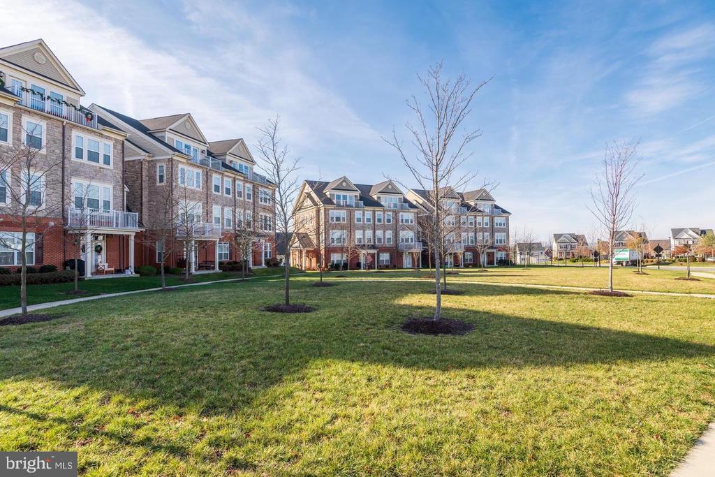 42562 WILDLY TERRACE