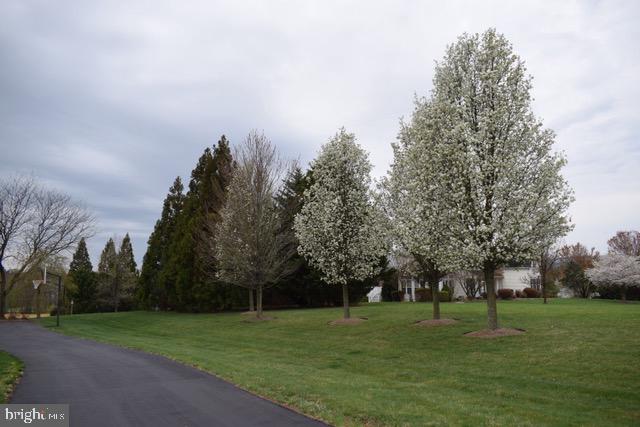 36453 DWYER COURT