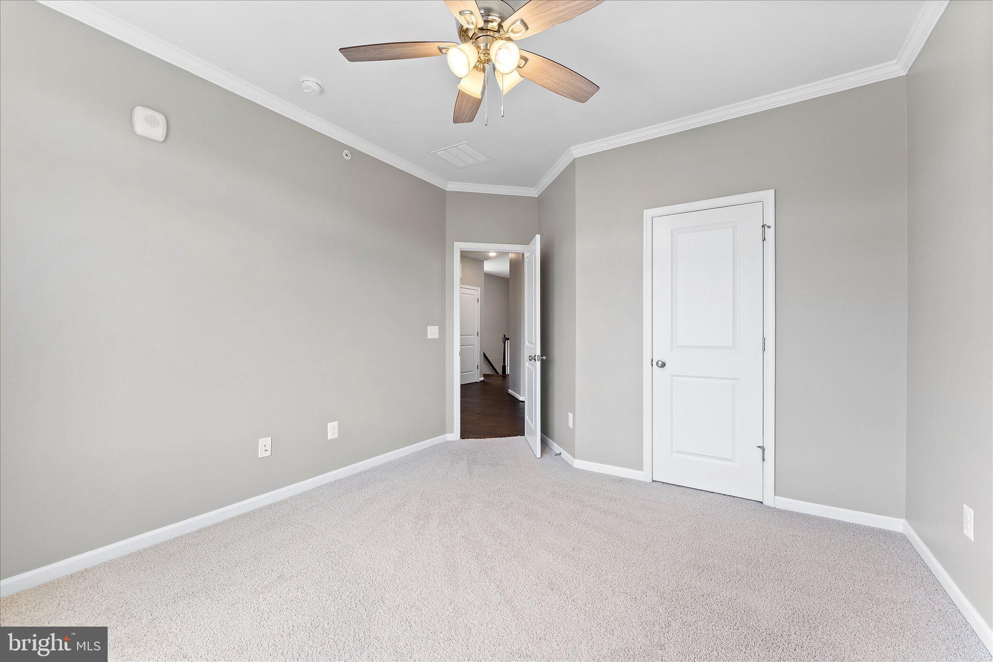 1000 RIBBON LIMESTONE TERRACE SE