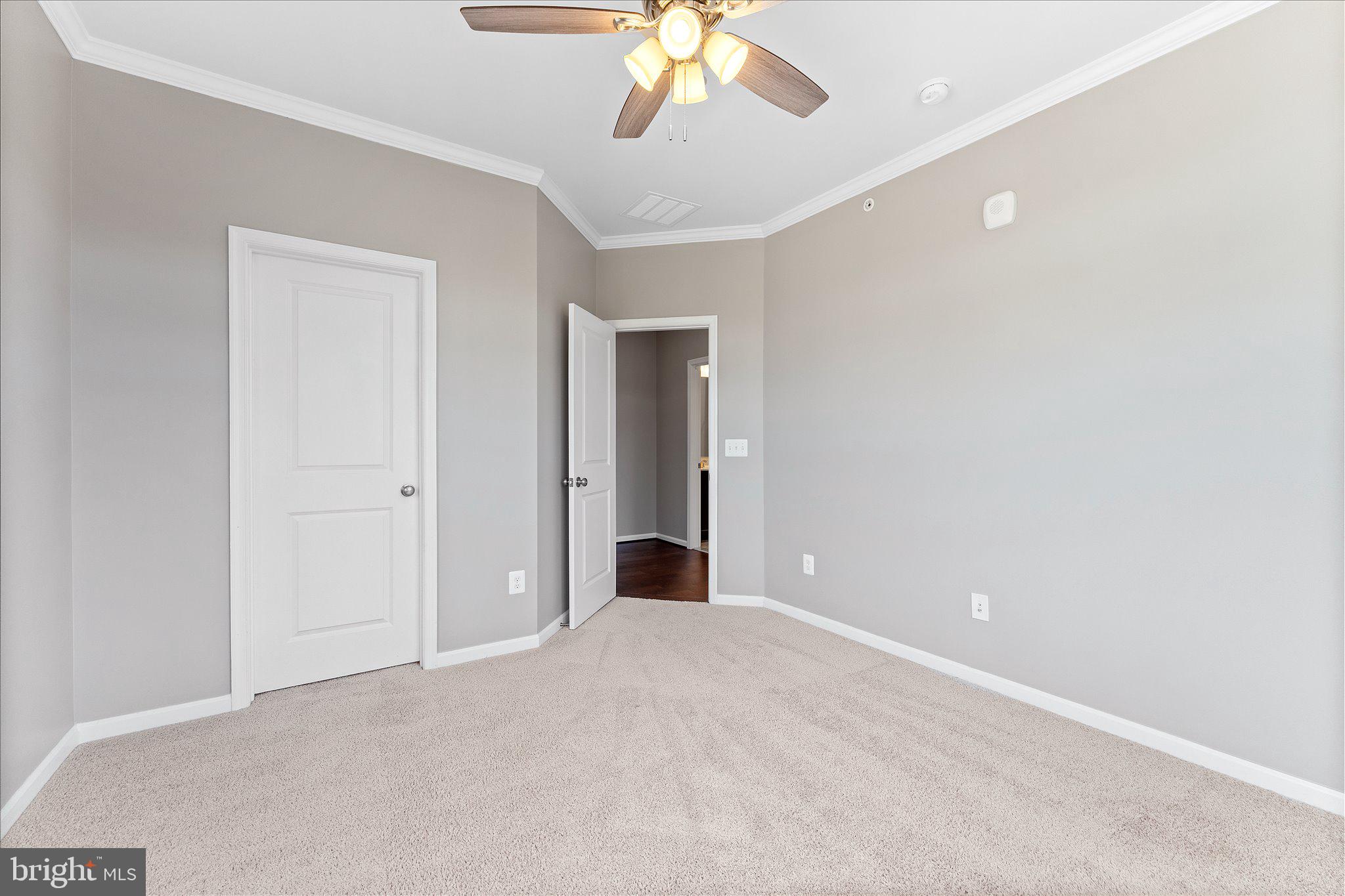1000 RIBBON LIMESTONE TERRACE SE