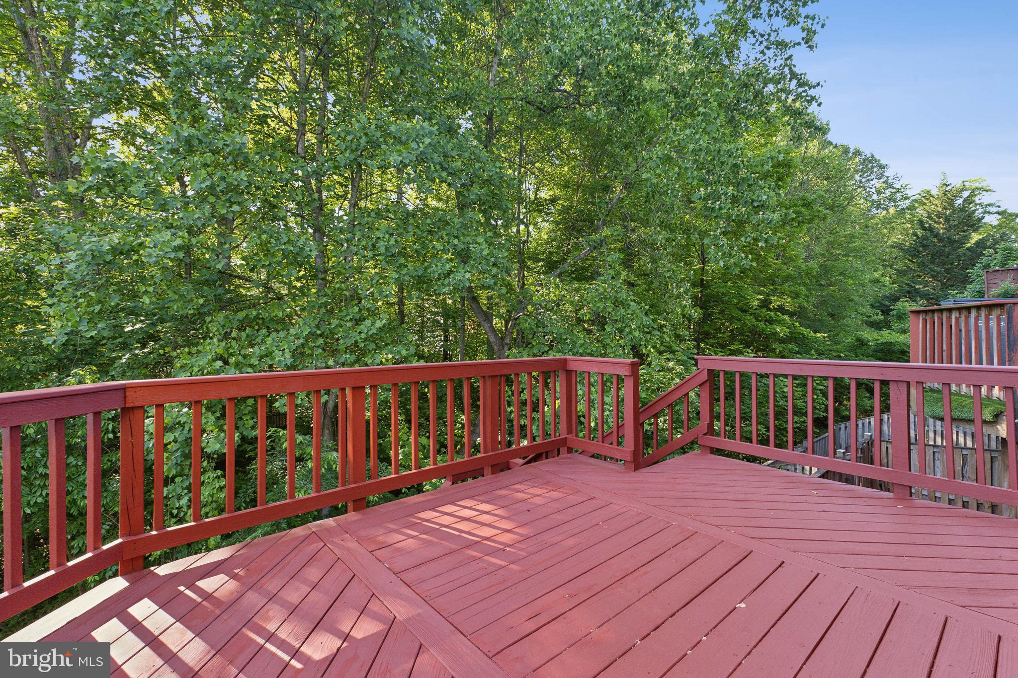 5005 BUENA VISTA DRIVE