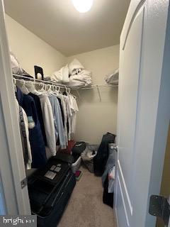 183 LUXOR COURT