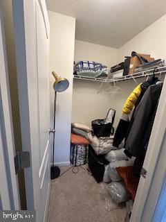 183 LUXOR COURT