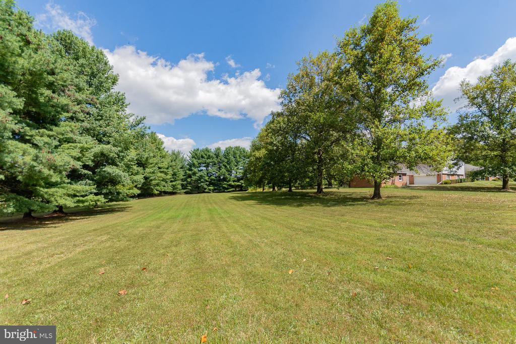 31 LOCUST HILL DRIVE