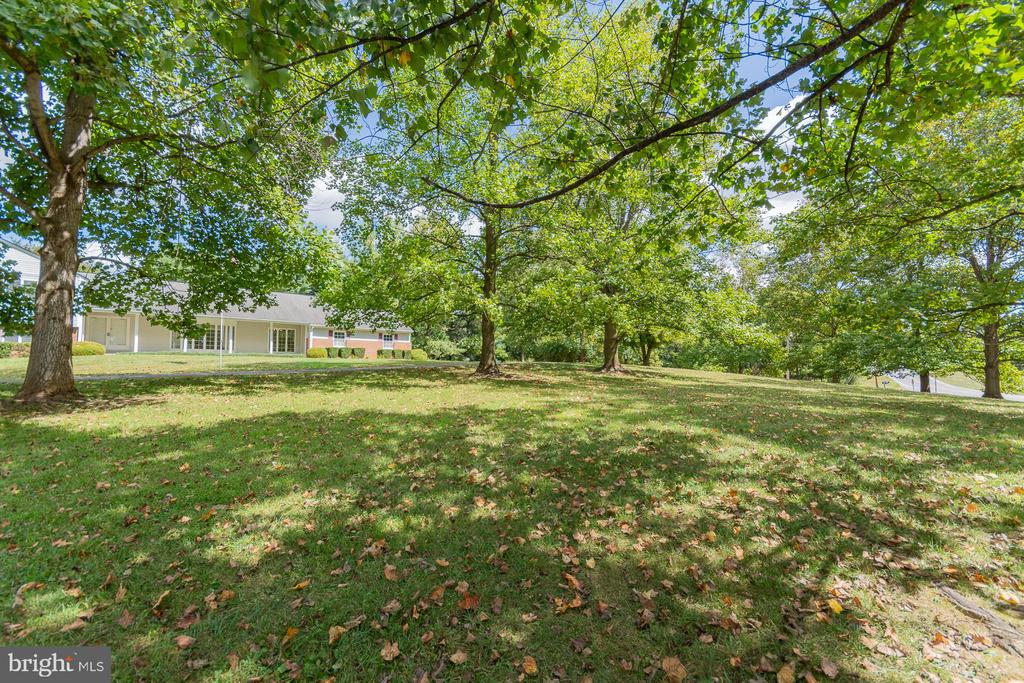 31 LOCUST HILL DRIVE