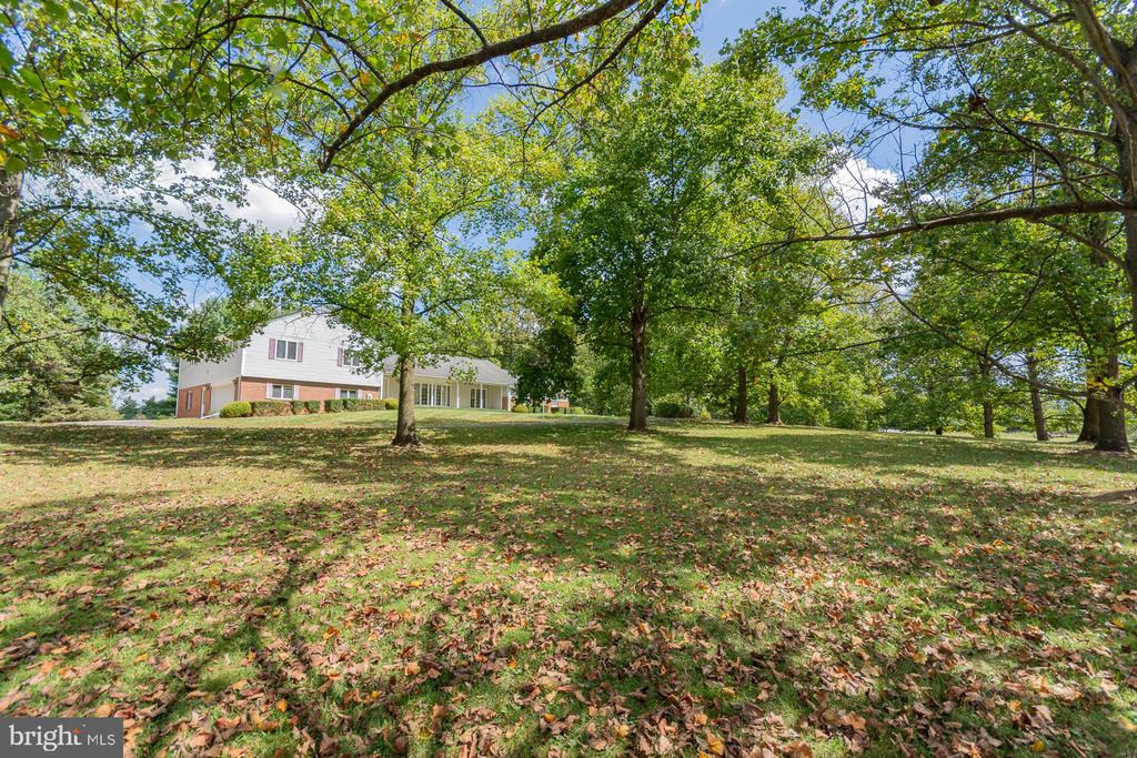 31 LOCUST HILL DRIVE