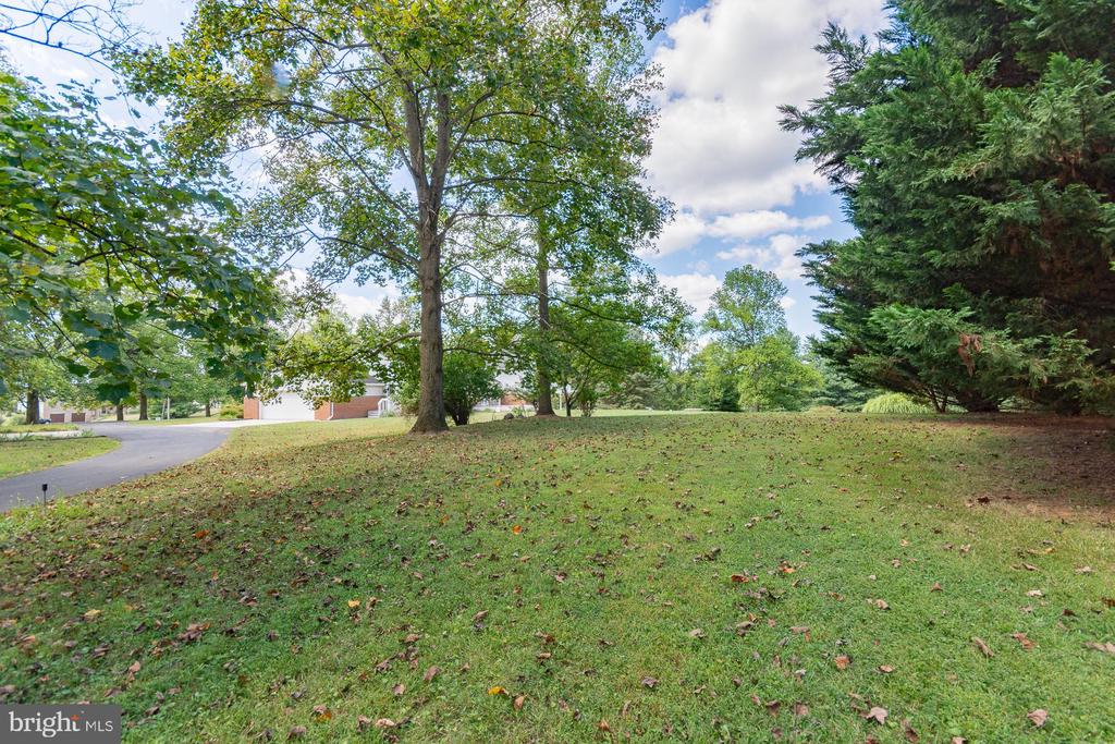 31 LOCUST HILL DRIVE