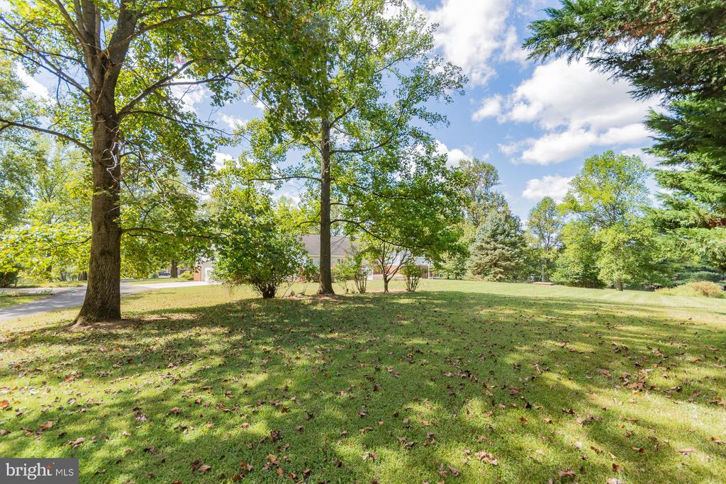 31 LOCUST HILL DRIVE