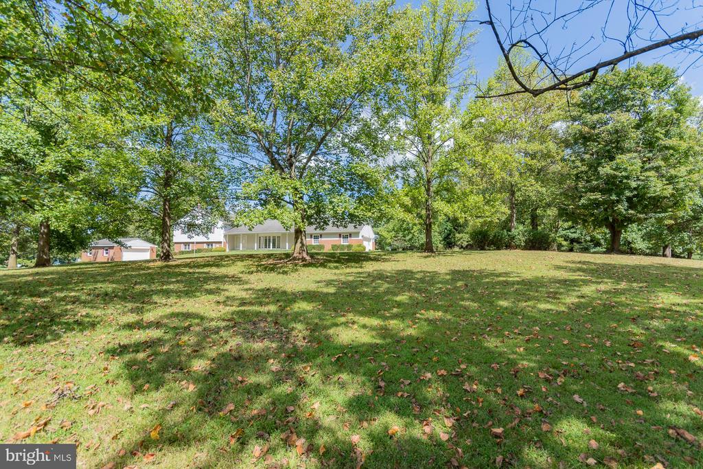 31 LOCUST HILL DRIVE