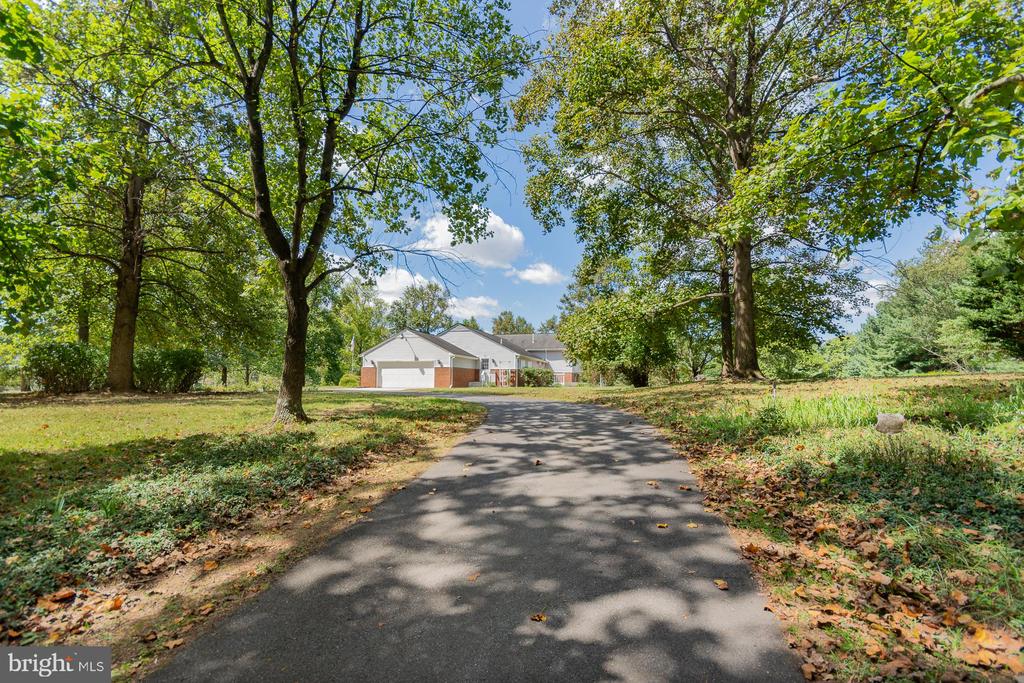 31 LOCUST HILL DRIVE