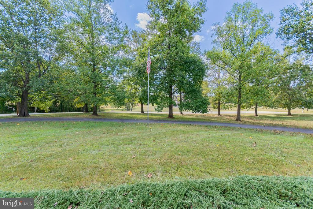 31 LOCUST HILL DRIVE