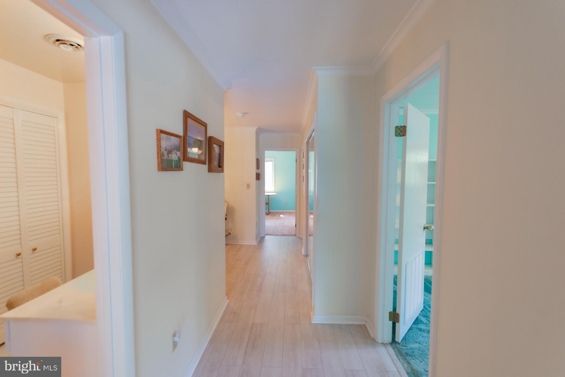 31 LOCUST HILL DRIVE