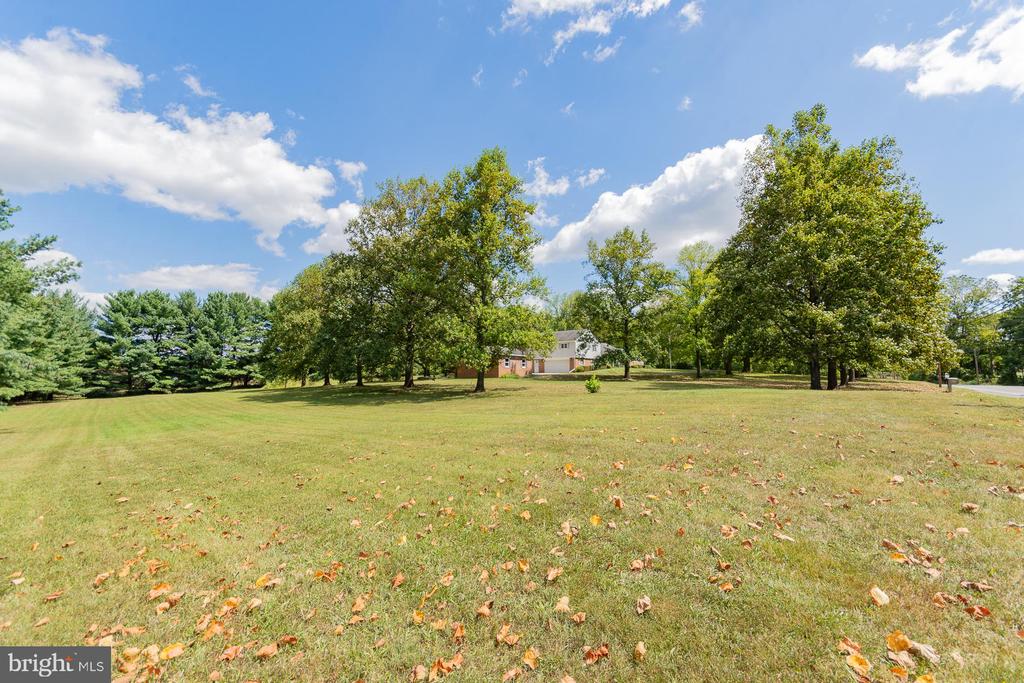 31 LOCUST HILL DRIVE