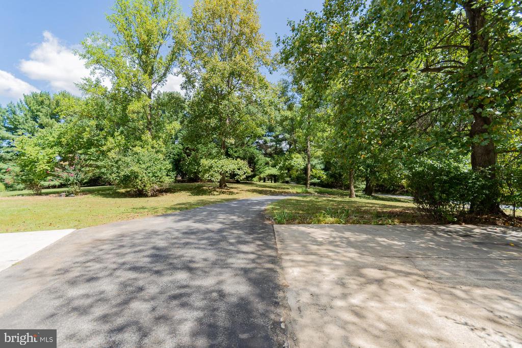 31 LOCUST HILL DRIVE