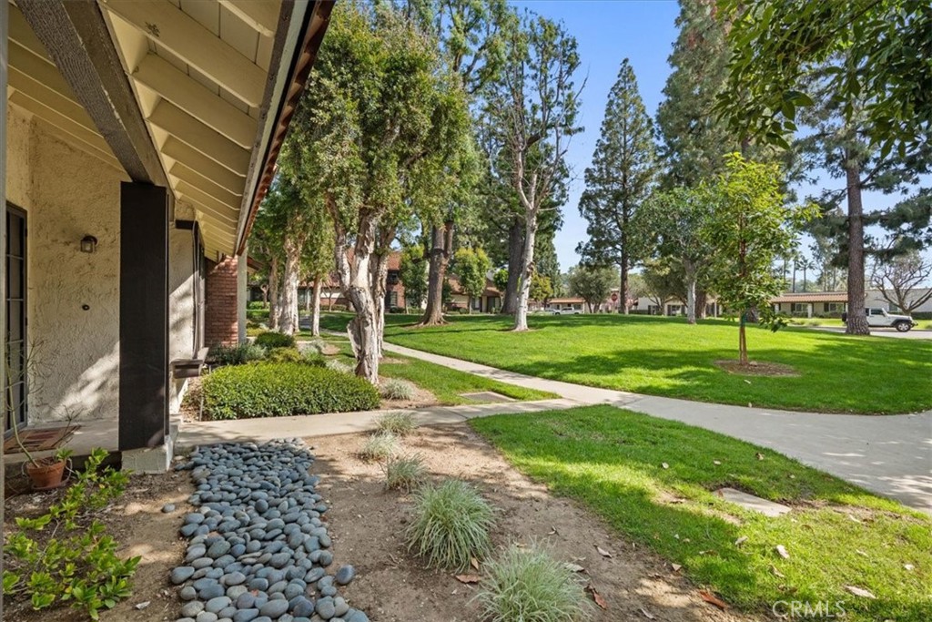 206 San Luis Rey
