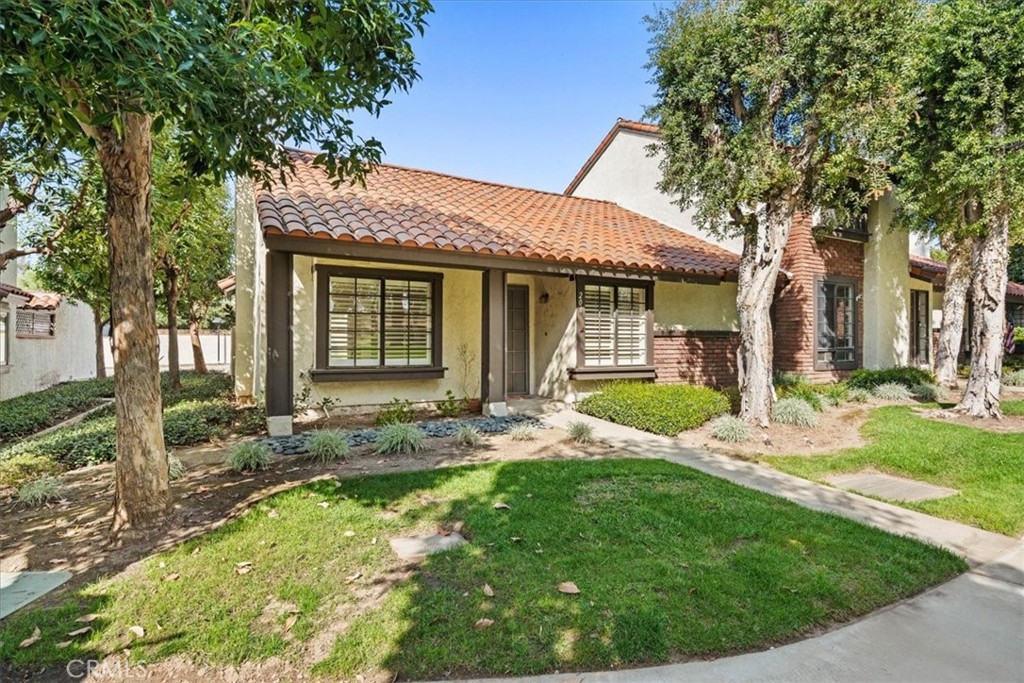206 San Luis Rey