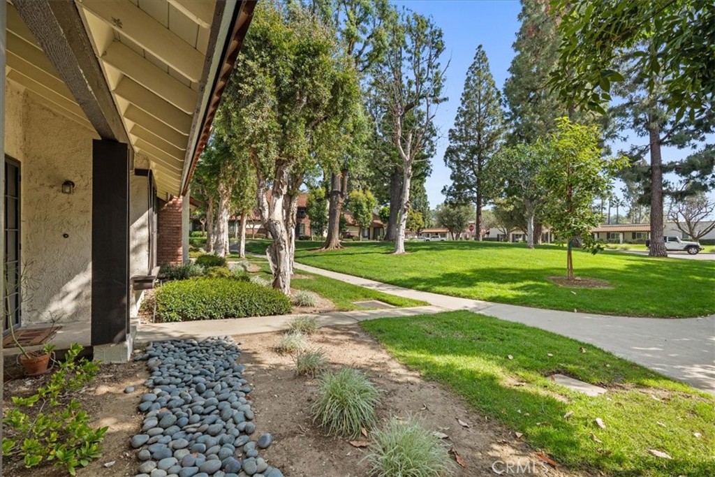206 San Luis Rey