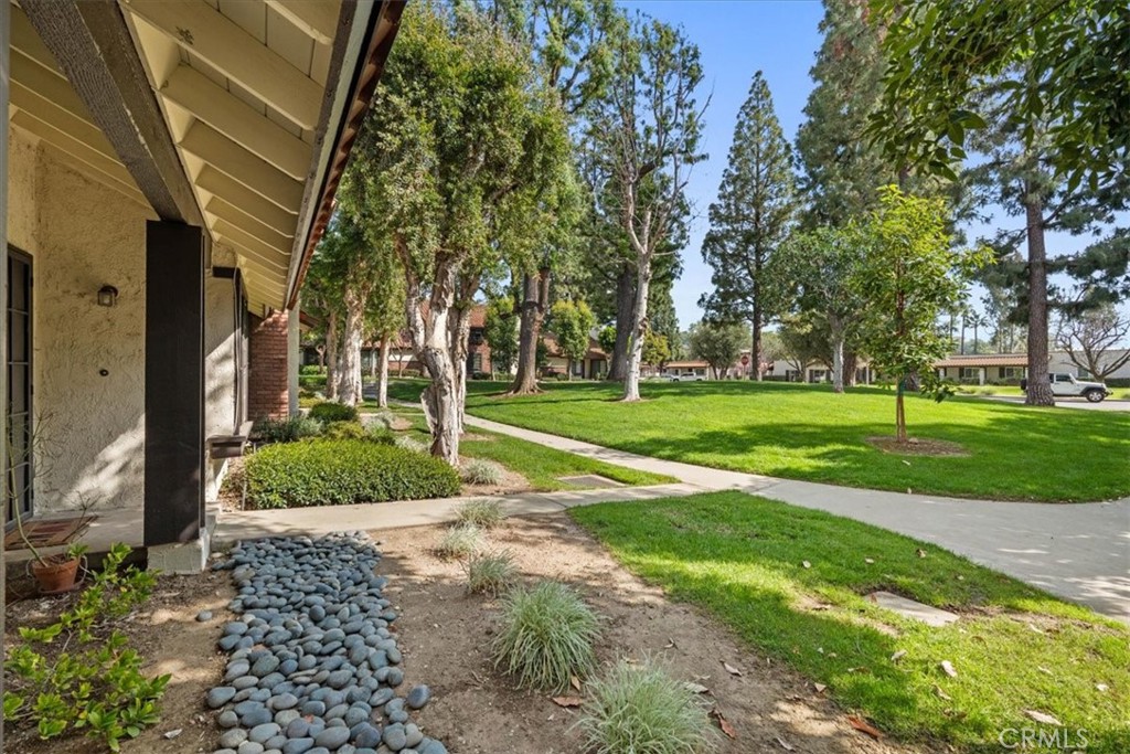 206 San Luis Rey