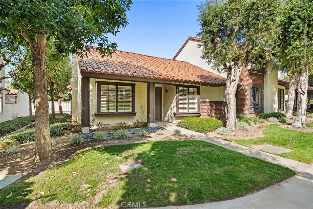 206 San Luis Rey
