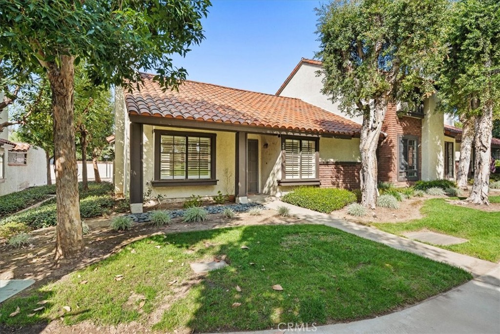 206 San Luis Rey