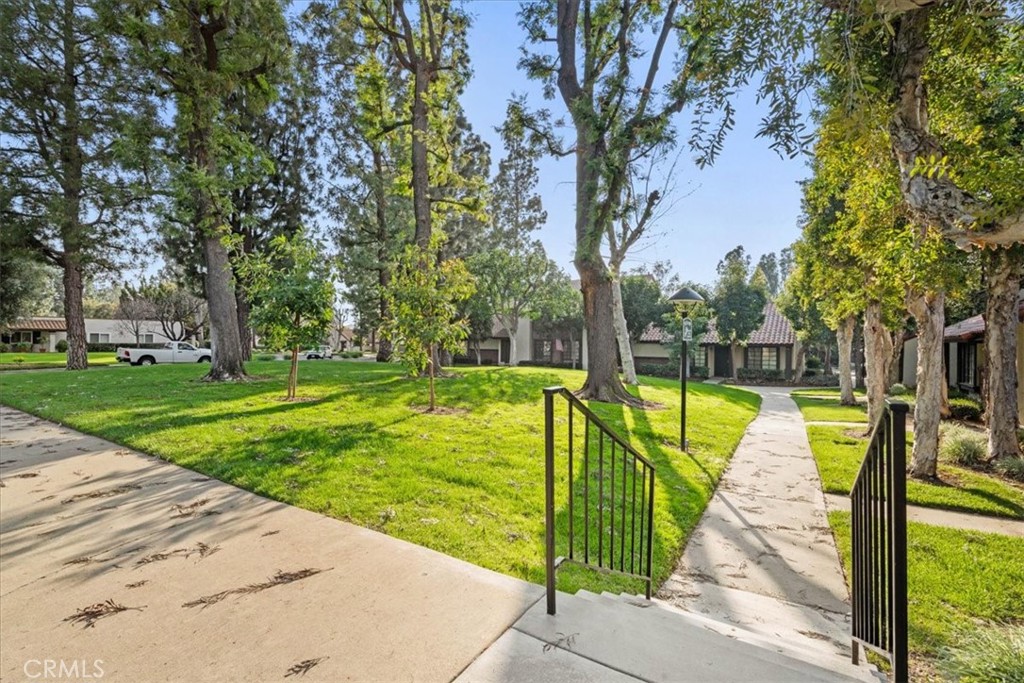 206 San Luis Rey