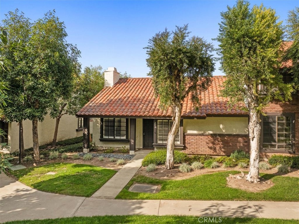 206 San Luis Rey