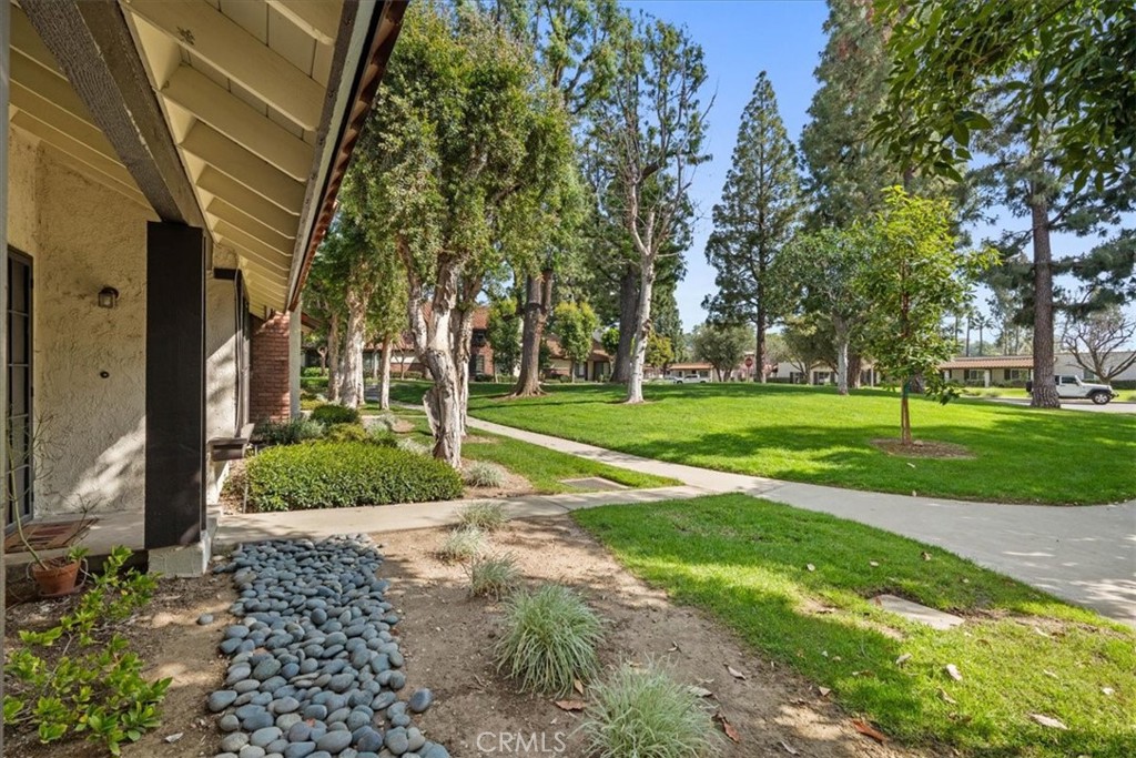 206 San Luis Rey