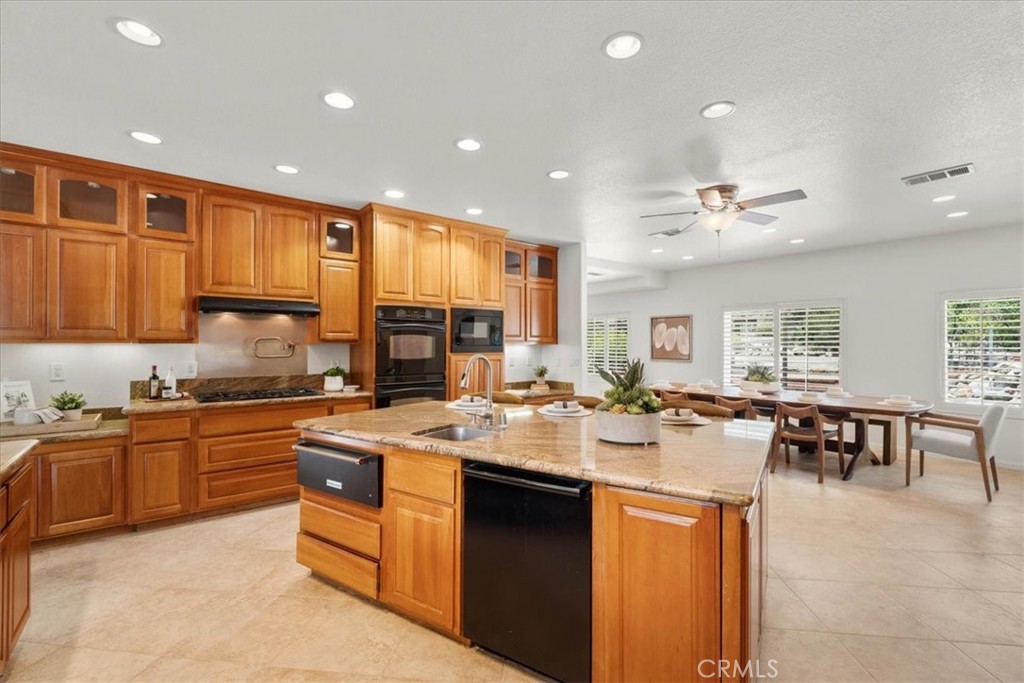 1008 Alamosa Drive