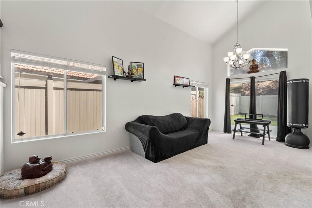 24108 Whistling Swan