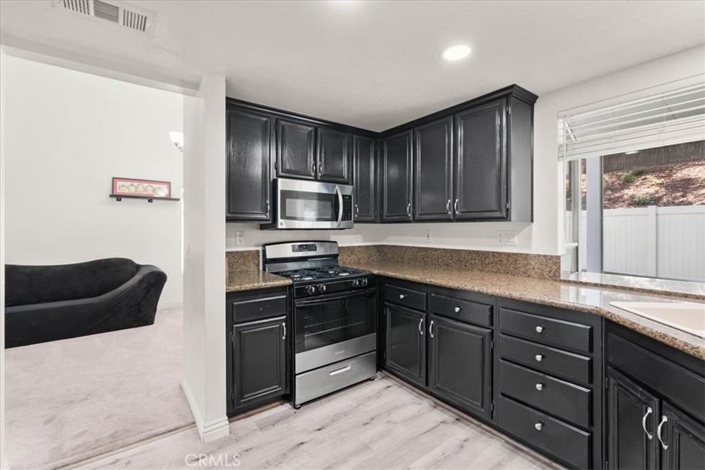 24108 Whistling Swan