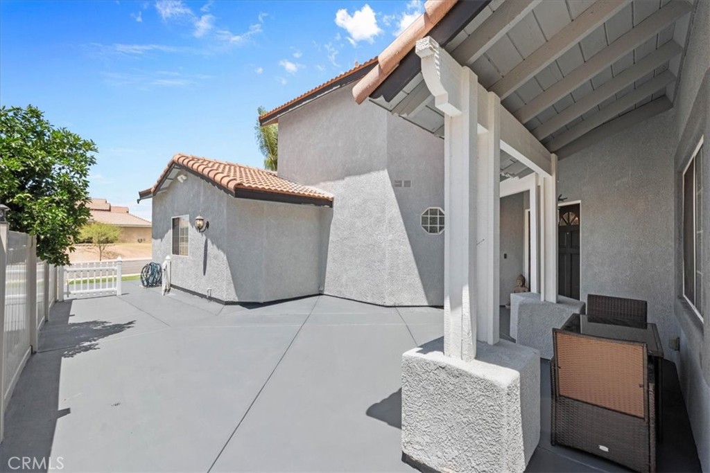 24108 Whistling Swan