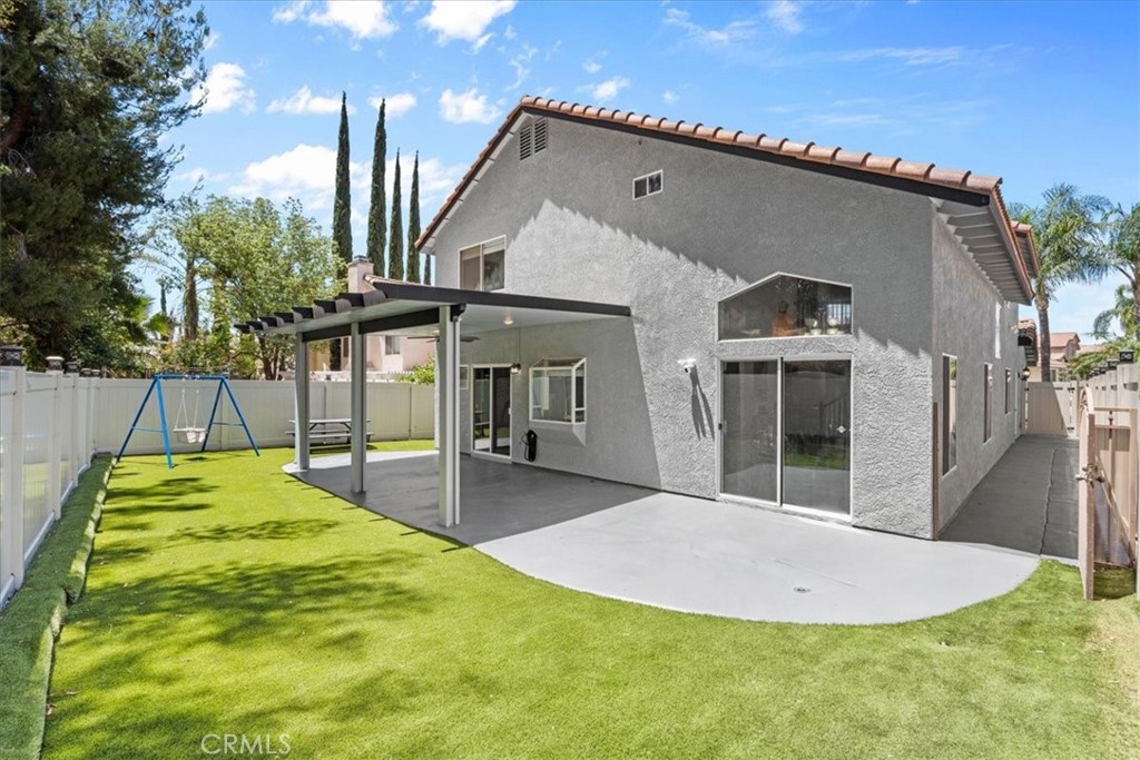 24108 Whistling Swan