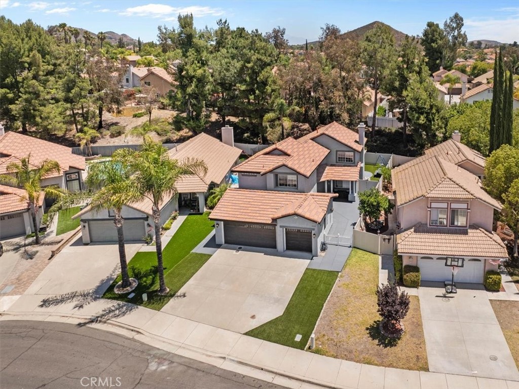 24108 Whistling Swan