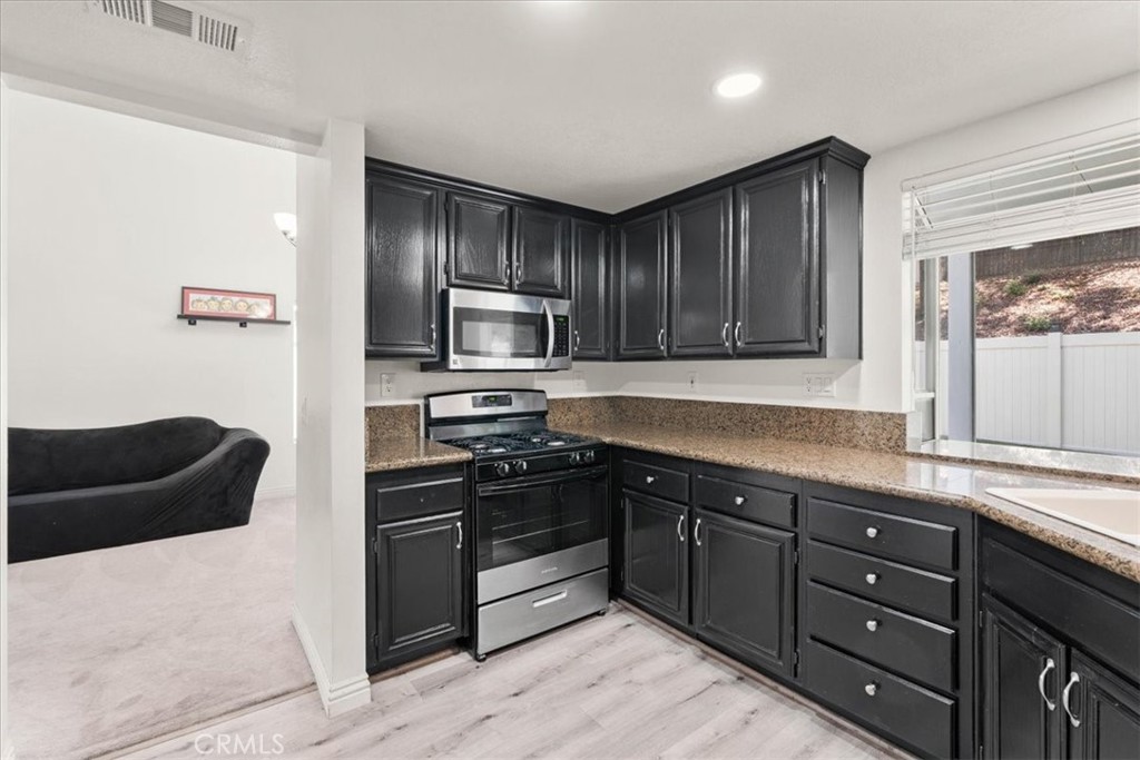 24108 Whistling Swan