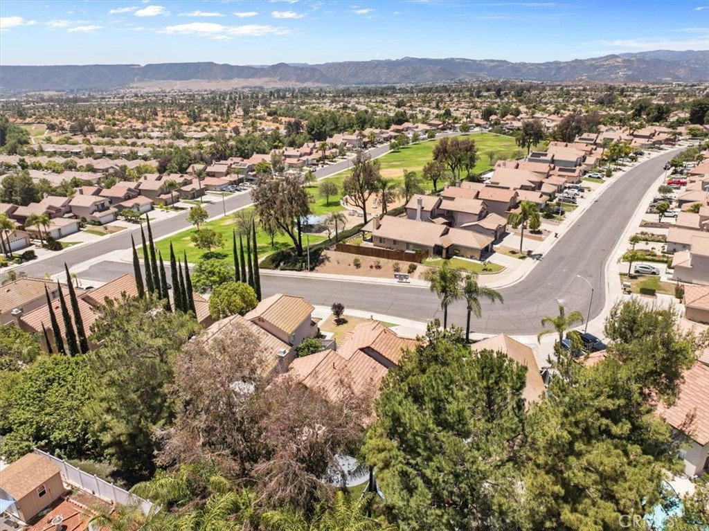24108 Whistling Swan