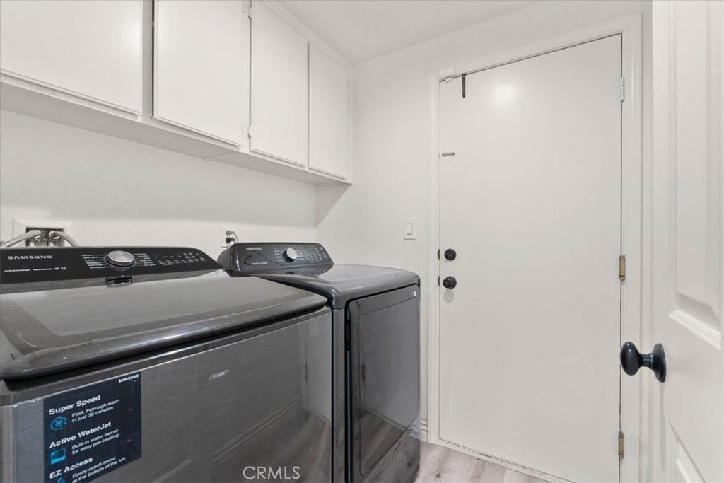 24108 Whistling Swan