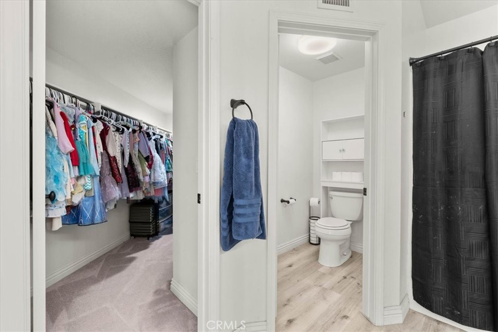 24108 Whistling Swan