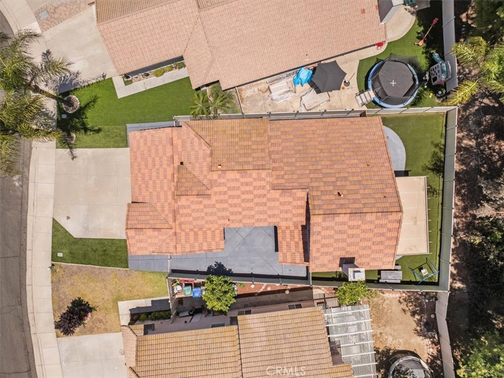 24108 Whistling Swan